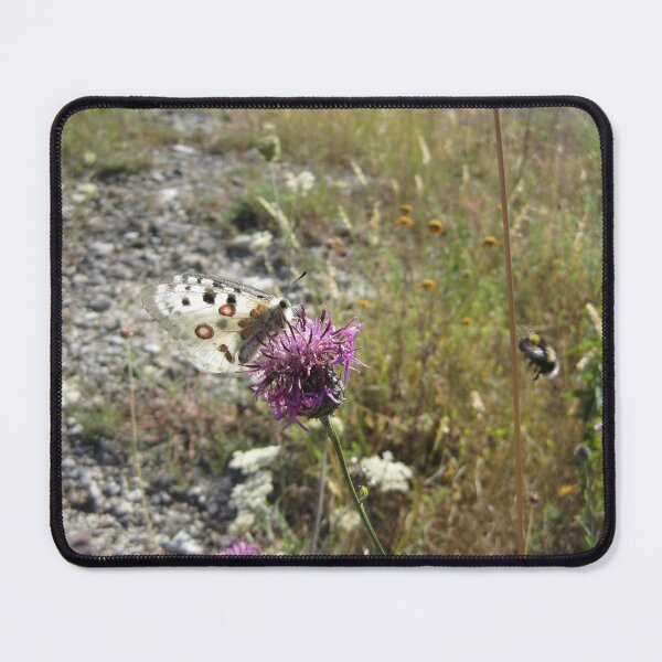 Item preview, Apollo Butterfly and Bee  designed and sold by SunsetFirefly.