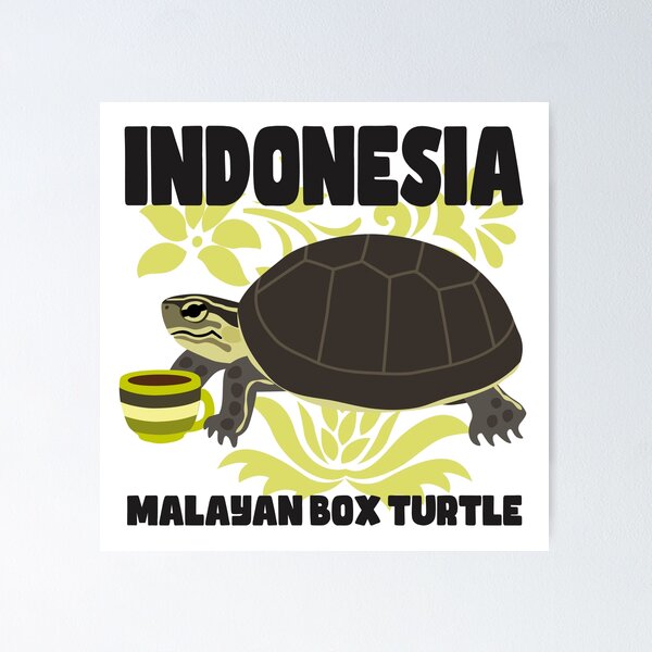 Item preview, Malayan Box Turtle designed and sold by Rie-TortoTurtle.