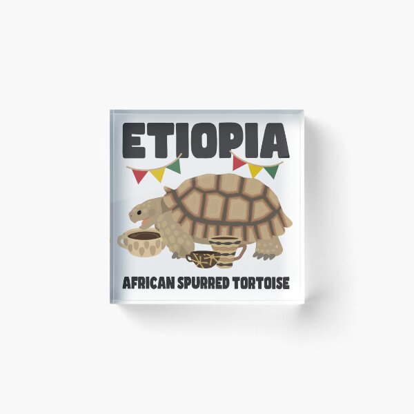 Item preview, African Spurred Tortoise designed and sold by Rie-TortoTurtle.