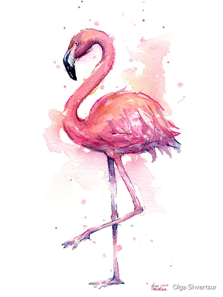 Pink Flamingo Watercolor Tropical Bird Kids T Shirt By Olga Shvartsur Redbubble