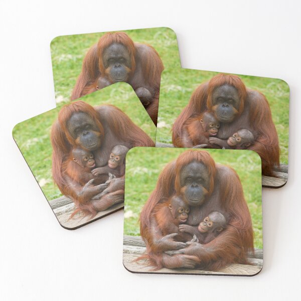 Item preview, Orangutan Family Bond designed and sold by rawshutterbug.