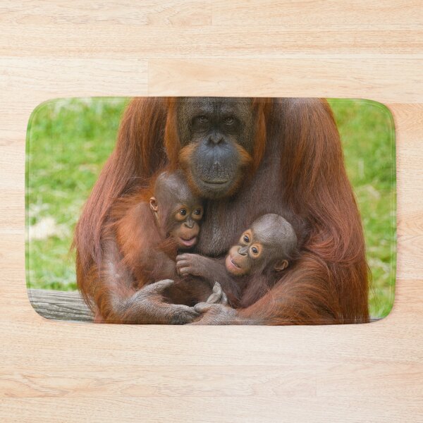 Item preview, Orangutan Family Bond designed and sold by rawshutterbug.