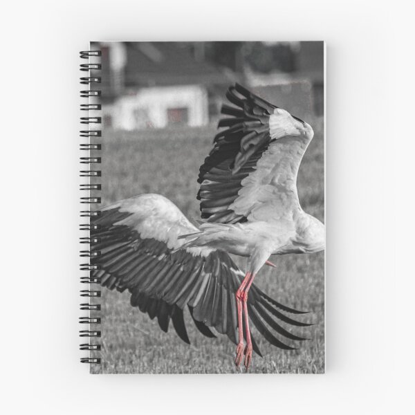 Item preview, STORKS designed and sold by GIPR.