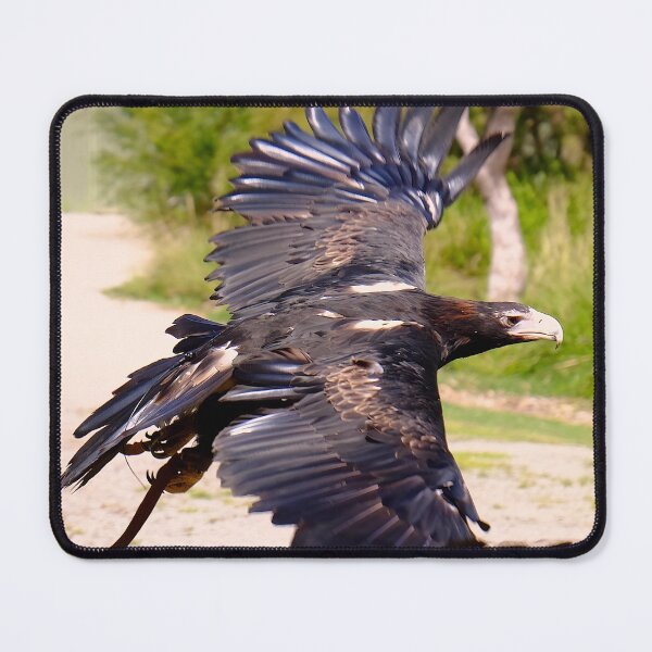 Item preview, wedge-tailed eagle designed and sold by pawprintz.