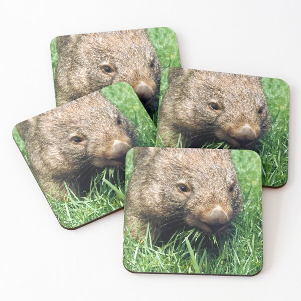 Item preview, Wombat eating grass designed and sold by pawprintz.