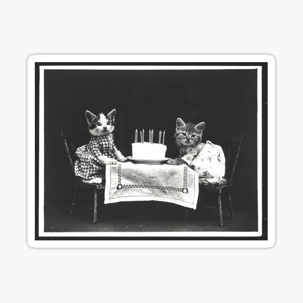 Item preview, Birthday Cats designed and sold by Amber Johanna.