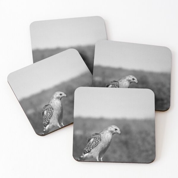 Item preview, Red-Shouldered Hawk Black And White designed and sold by MercerImages.