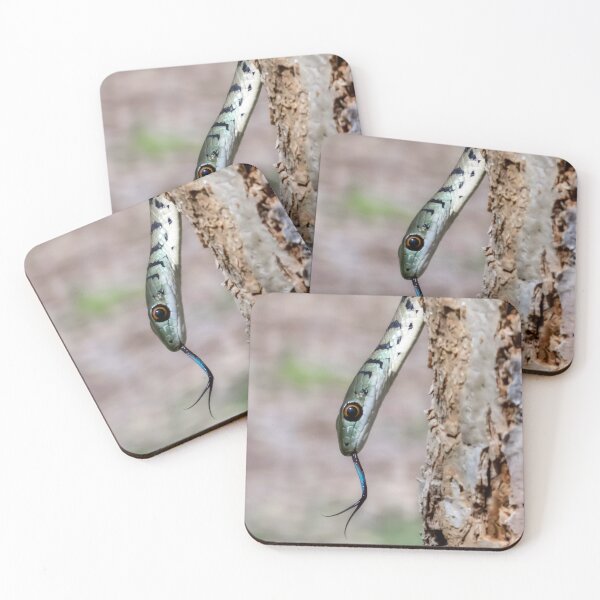Item preview, Spotted Bush Snake (Philothamnus semivariegatus) designed and sold by Pixel Press Prints.