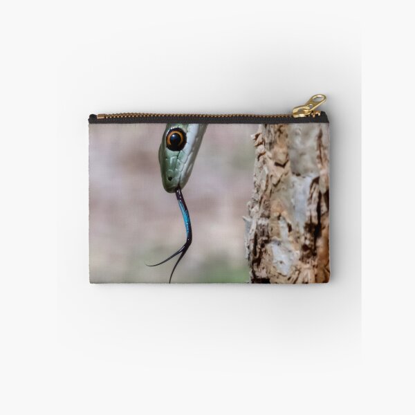 Item preview, Spotted Bush Snake (Philothamnus semivariegatus) designed and sold by Pixel Press Prints.