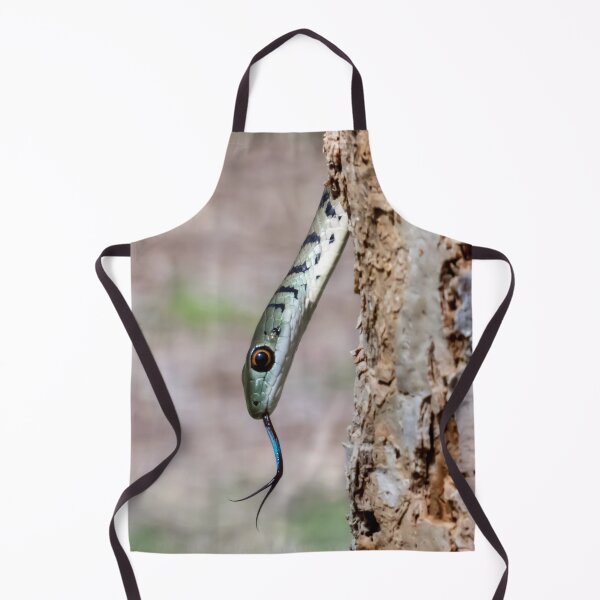 Item preview, Spotted Bush Snake (Philothamnus semivariegatus) designed and sold by Pixel Press Prints.