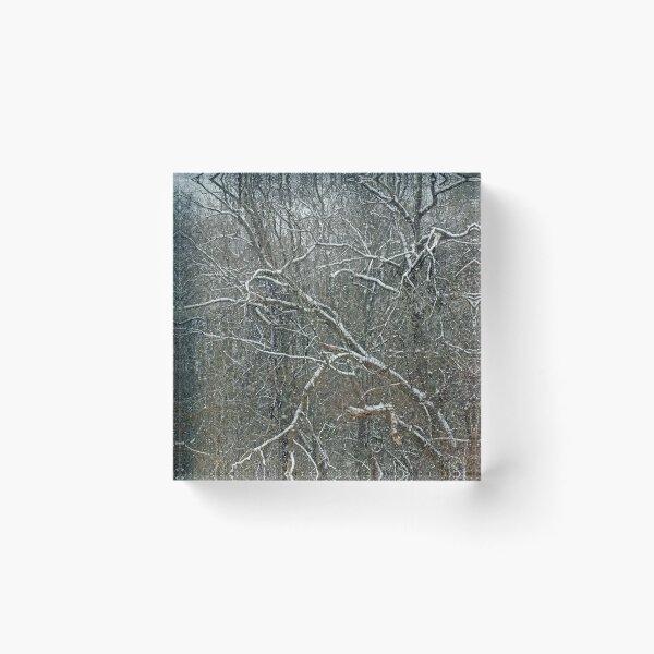 Item preview, Forest Snowfall designed and sold by bertsworks300.