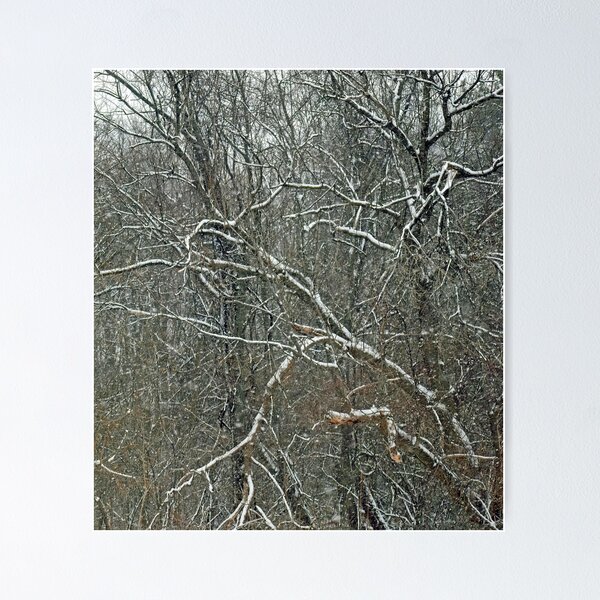 Item preview, Forest Snowfall designed and sold by bertsworks300.