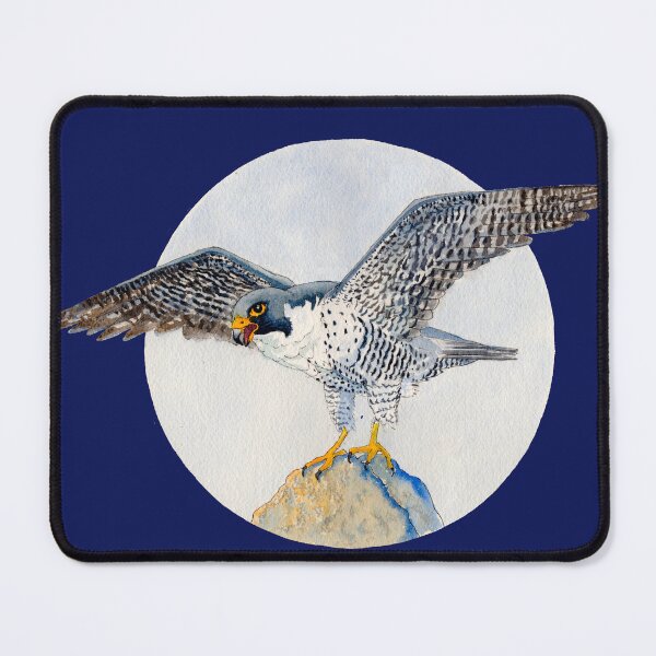 Item preview, Watercolour Perregrine Falcon designed and sold by CamilleCastanet.