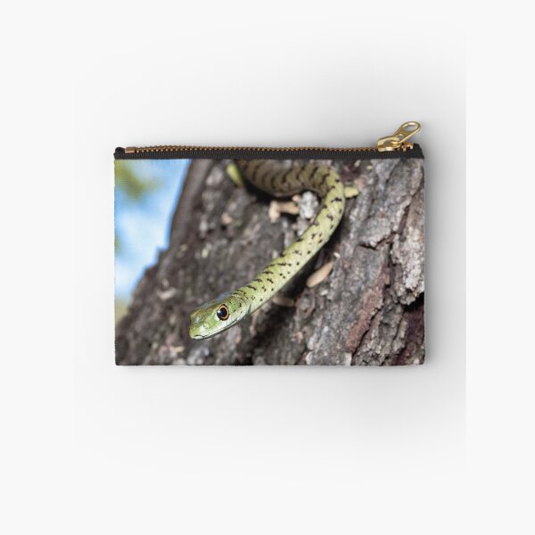 Item preview, Spotted Bush Snake (Philothamnus semivariegatus) designed and sold by Pixel Press Prints.