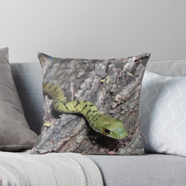 Item preview, Spotted Bush Snake (Philothamnus semivariegatus) designed and sold by Pixel Press Prints.