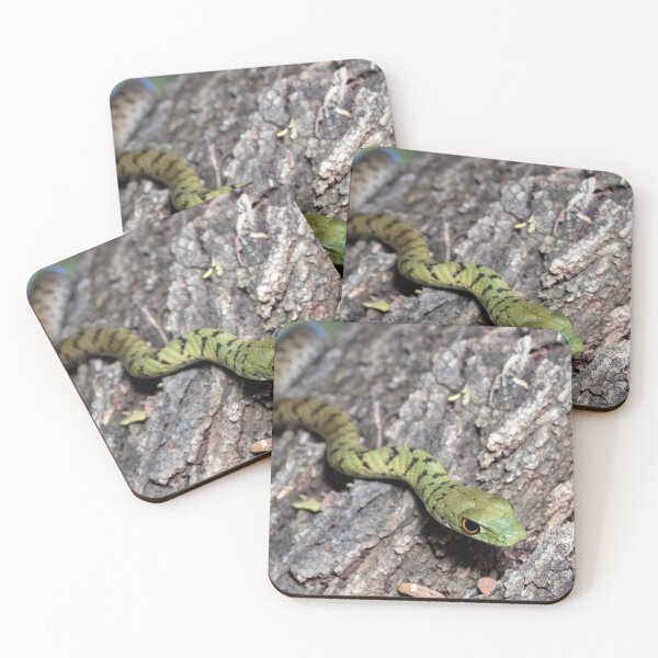 Item preview, Spotted Bush Snake (Philothamnus semivariegatus) designed and sold by Pixel Press Prints.