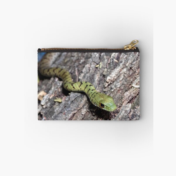 Item preview, Spotted Bush Snake (Philothamnus semivariegatus) designed and sold by Pixel Press Prints.