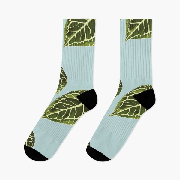 Item preview, Alocasia plant leaves on blue background. designed and sold by MatyKotiv.