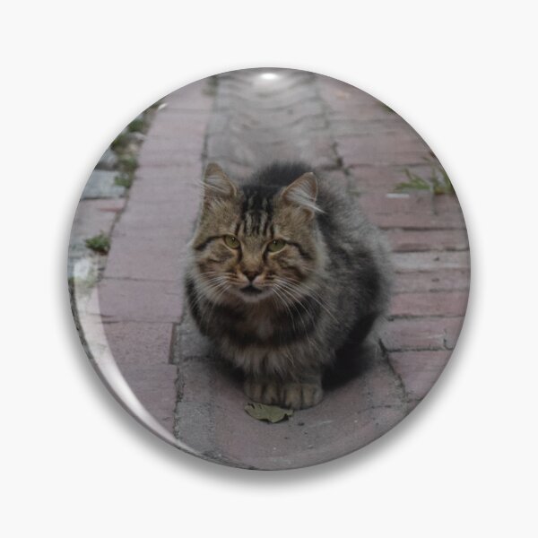 Item preview, Cat on the street designed and sold by Tatjana  Eva.