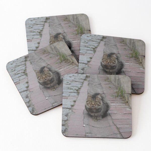 Item preview, Cat on the street designed and sold by Tatjana  Eva.