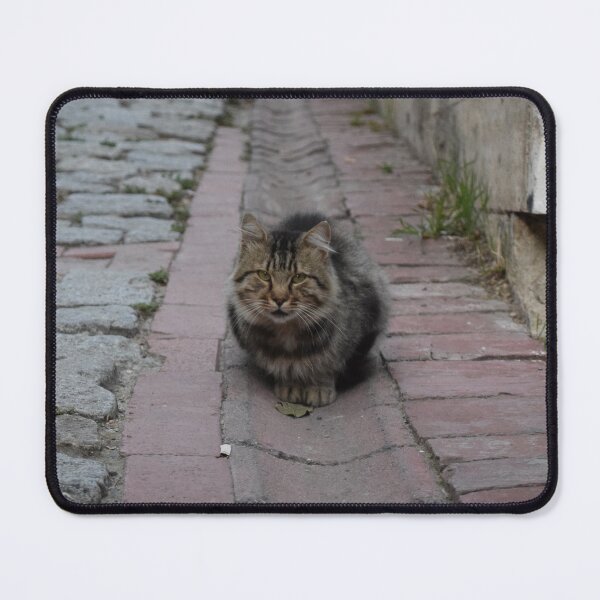 Item preview, Cat on the street designed and sold by Tatjana  Eva.