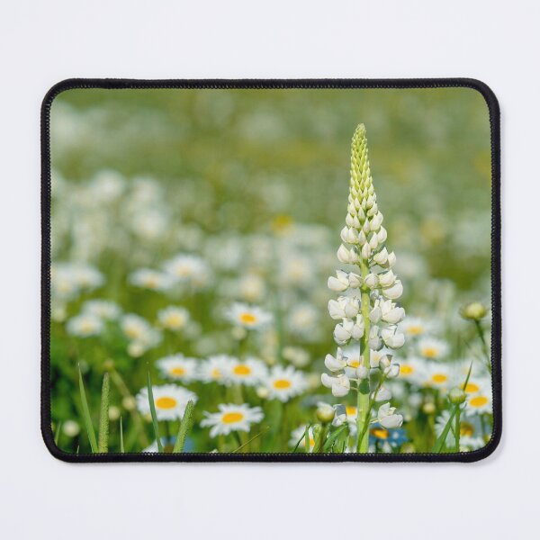 Item preview, White Lupin designed and sold by onepony.