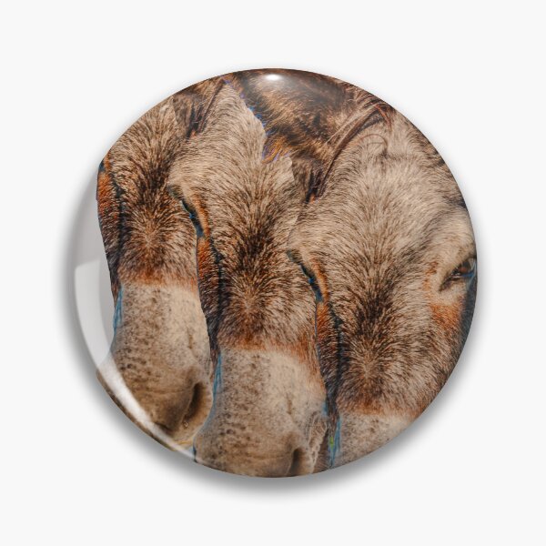 Item preview, 3 heads are better than 1 designed and sold by Dalyndigital Photography.