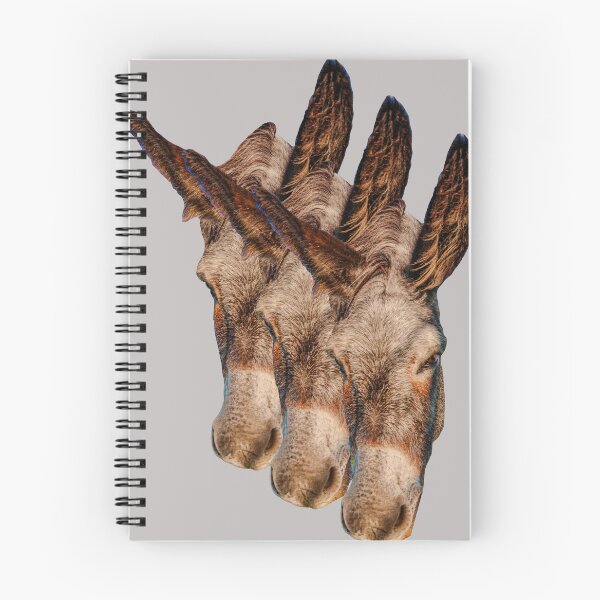Item preview, 3 heads are better than 1 designed and sold by Dalyndigital Photography.