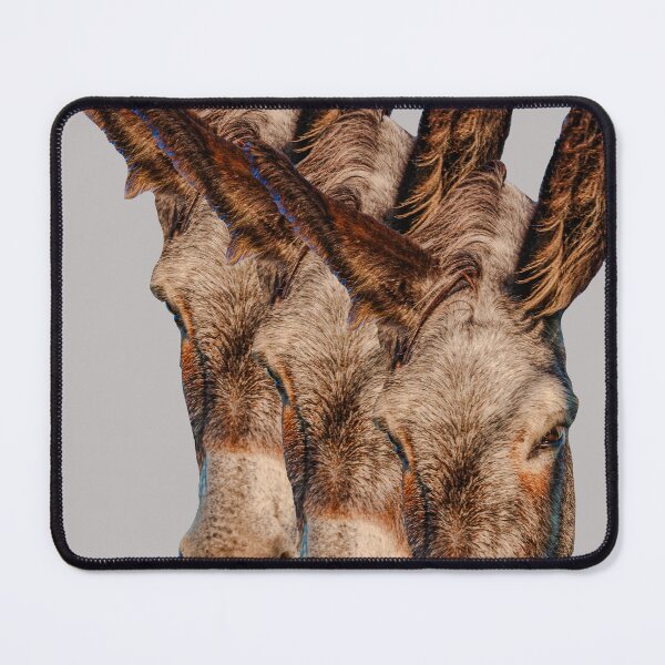 Item preview, 3 heads are better than 1 designed and sold by Dalyndigital Photography.