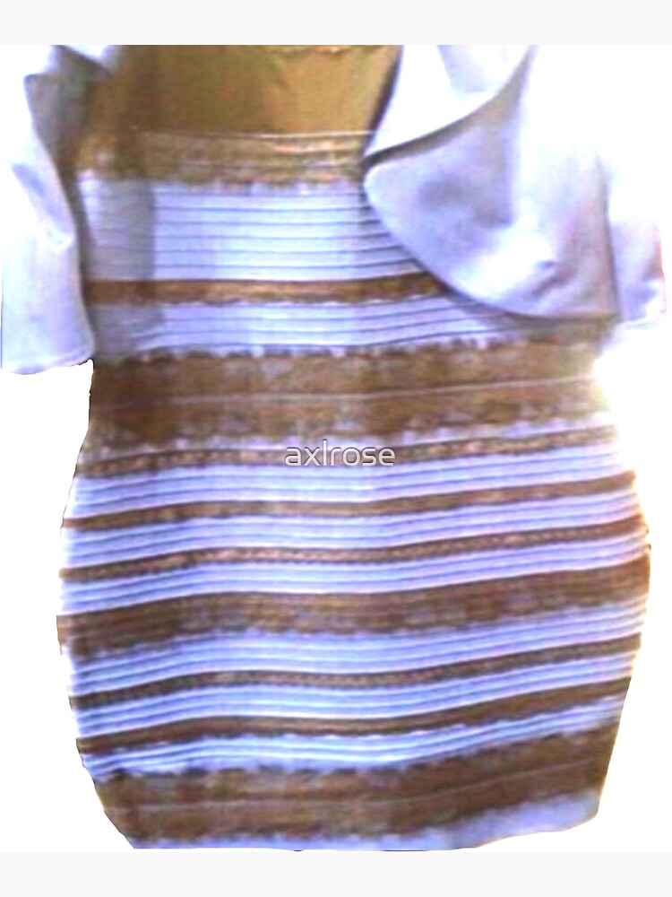 Blue Black White Gold Dress