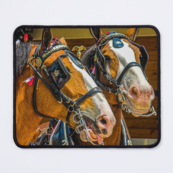 Item preview, A pair of Heavy horse in harness designed and sold by Dalyndigital Photography.