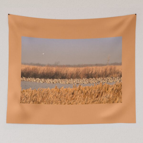 Item preview, Sedge Of Sandhills On A Hazy Morning designed and sold by Debra Martz.