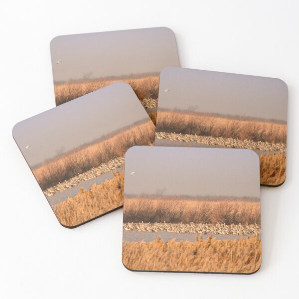 Item preview, Sedge Of Sandhills On A Hazy Morning designed and sold by Debra Martz.