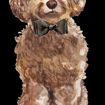 Artwork thumbnail, Brown Cockapoo by David Guerrero