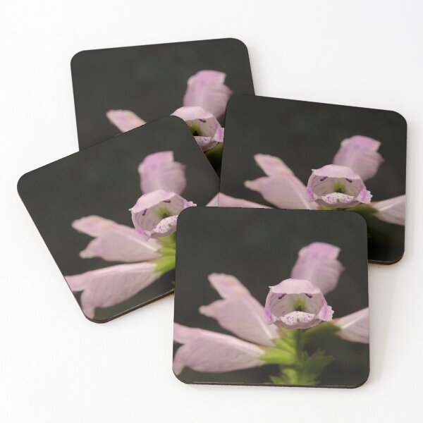 Item preview, Blume looks at me designed and sold by fribo.