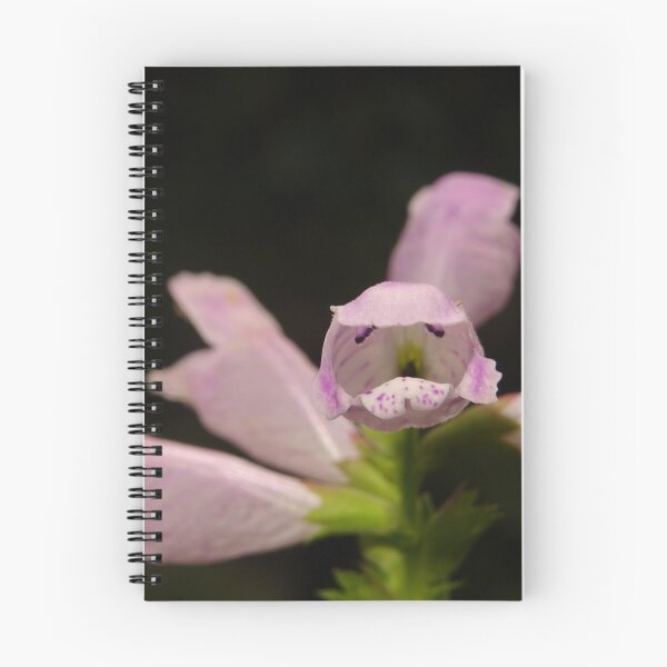 Item preview, Blume looks at me designed and sold by fribo.