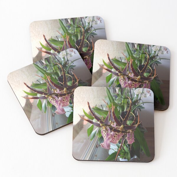 Item preview, Brassa Orchid Collection designed and sold by MocasWorldMerch.