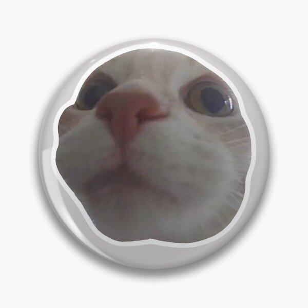 Item preview, MEME - Curious Cat(Collection3-1) designed and sold by MetichaiTH.