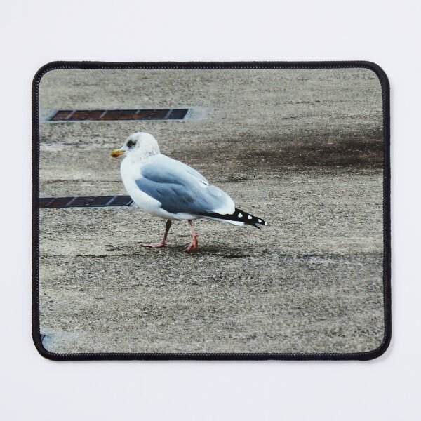 Item preview, The seagull designed and sold by ART22.