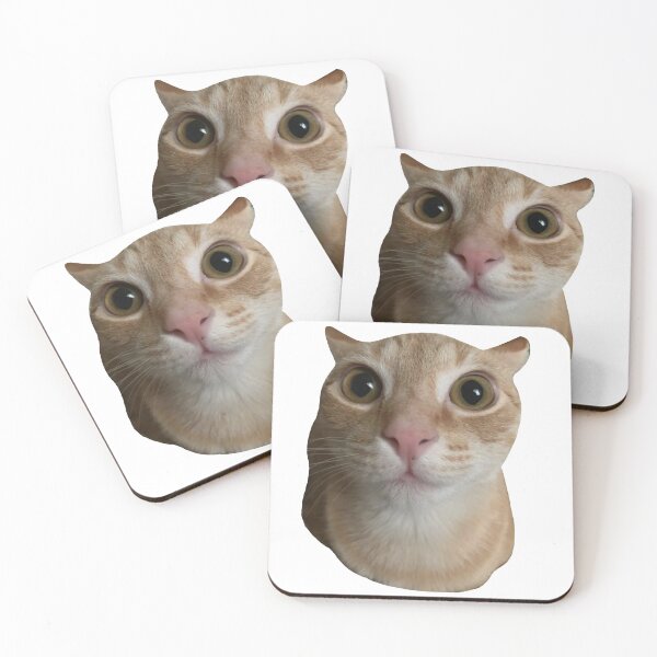 Artikelvorschau, MEME - Surprised Meow(Collection3-6) entworfen und verkauft von MetichaiTH.