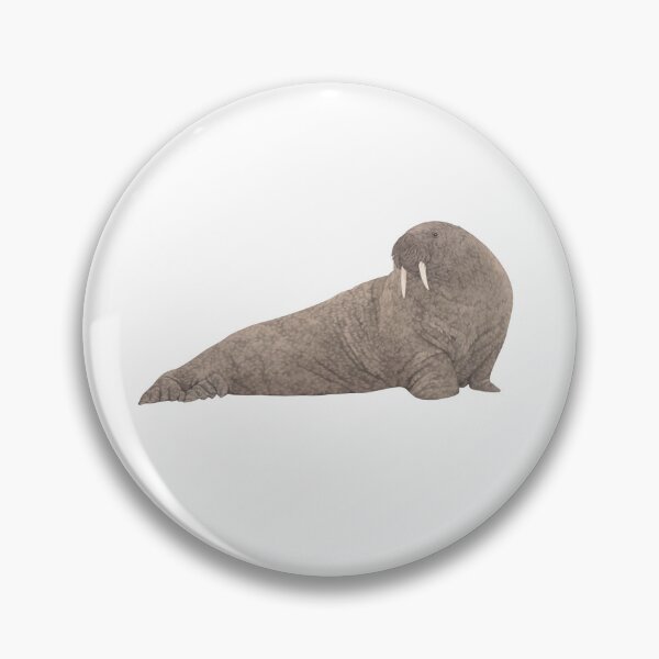 Item preview, Walrus Pencil Illustration designed and sold by Lauren Fitton Illustration.