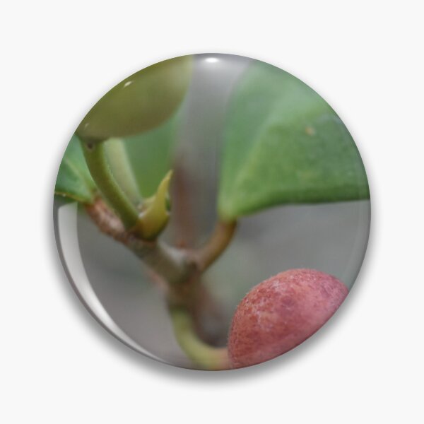Item preview, Red and Green Plant Buds designed and sold by Seth’s Brushstrokes and Clicks.