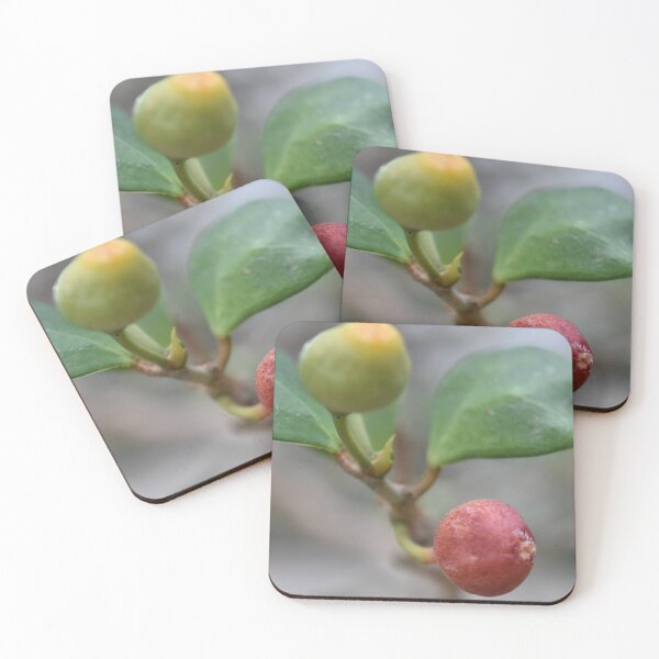 Item preview, Red and Green Plant Buds designed and sold by Seth’s Brushstrokes and Clicks.