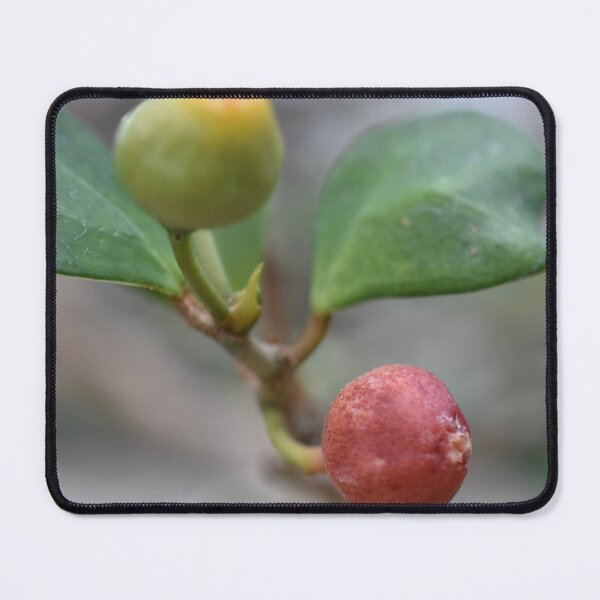 Item preview, Red and Green Plant Buds designed and sold by Seth’s Brushstrokes and Clicks.