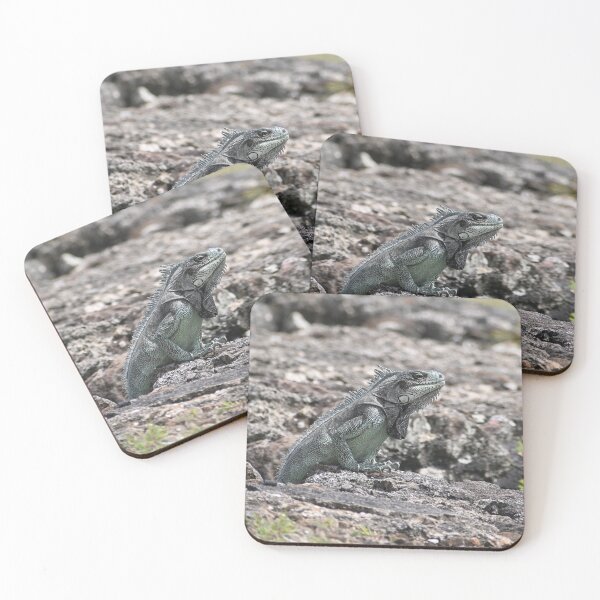 Item preview, iguana approaching designed and sold by JIM-AND-ME.