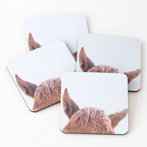 Item preview, Levi - Horse Ears Equine Photography  designed and sold by carlacarlacarla.