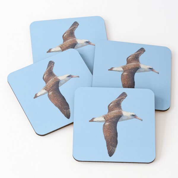 Item preview, Laysan Albatross Color Design  designed and sold by designsasstultd.