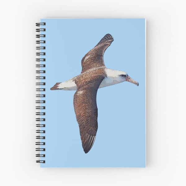 Item preview, Laysan Albatross Color Design  designed and sold by designsasstultd.