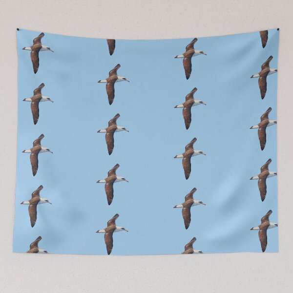 Item preview, Laysan Albatross Color Design  designed and sold by designsasstultd.