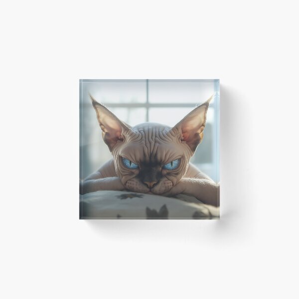 Item preview, Sphynx cat relaxes in sunlight designed and sold by anytka.
